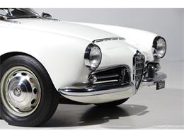 1964 Alfa Romeo Giulia (CC-2081607) for sale in Farmingdale, New York