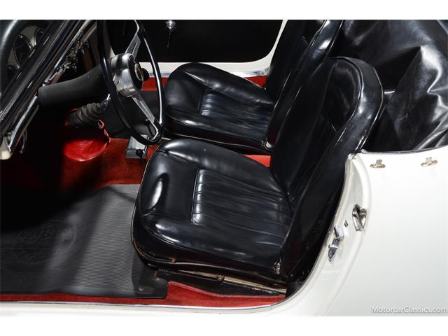 1964 Alfa Romeo Giulia (CC-2081607) for sale in Farmingdale, New York