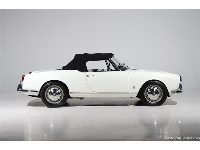 1964 Alfa Romeo Giulia (CC-2081607) for sale in Farmingdale, New York