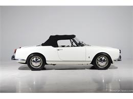 1964 Alfa Romeo Giulia (CC-2081607) for sale in Farmingdale, New York