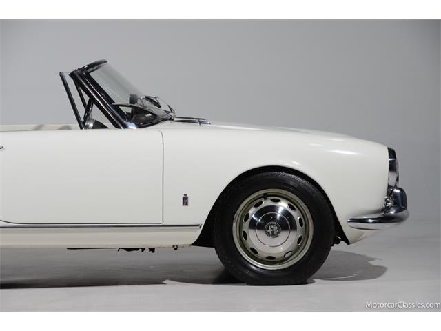 1964 Alfa Romeo Giulia (CC-2081607) for sale in Farmingdale, New York