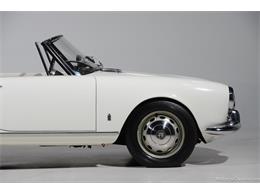 1964 Alfa Romeo Giulia (CC-2081607) for sale in Farmingdale, New York