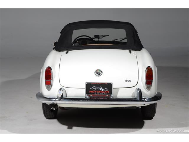 1964 Alfa Romeo Giulia (CC-2081607) for sale in Farmingdale, New York
