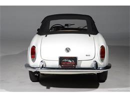 1964 Alfa Romeo Giulia (CC-2081607) for sale in Farmingdale, New York
