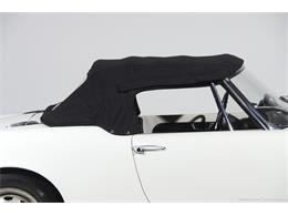 1964 Alfa Romeo Giulia (CC-2081607) for sale in Farmingdale, New York
