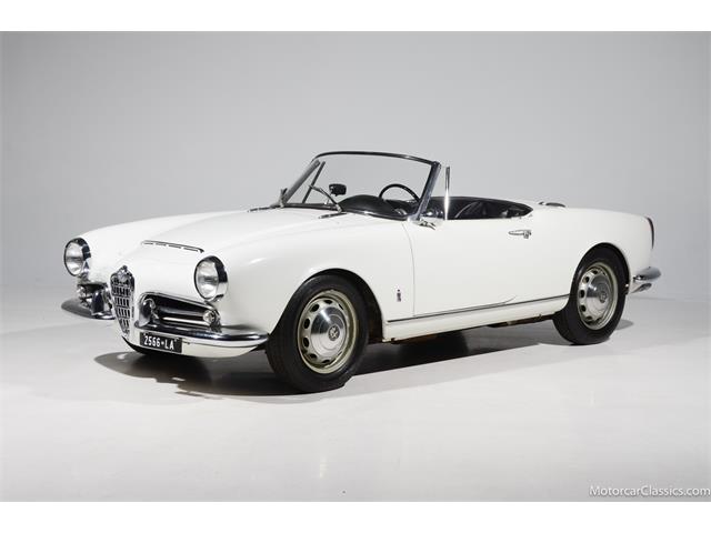 1964 Alfa Romeo Giulia (CC-2081607) for sale in Farmingdale, New York