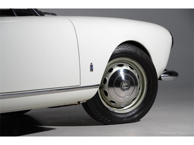 1964 Alfa Romeo Giulia (CC-2081607) for sale in Farmingdale, New York