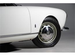 1964 Alfa Romeo Giulia (CC-2081607) for sale in Farmingdale, New York