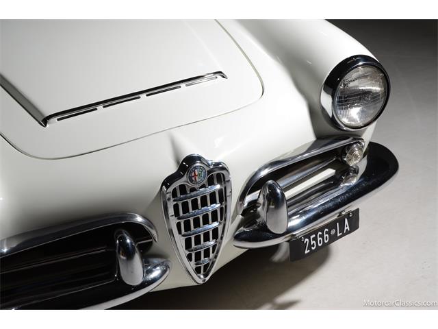 1964 Alfa Romeo Giulia (CC-2081607) for sale in Farmingdale, New York