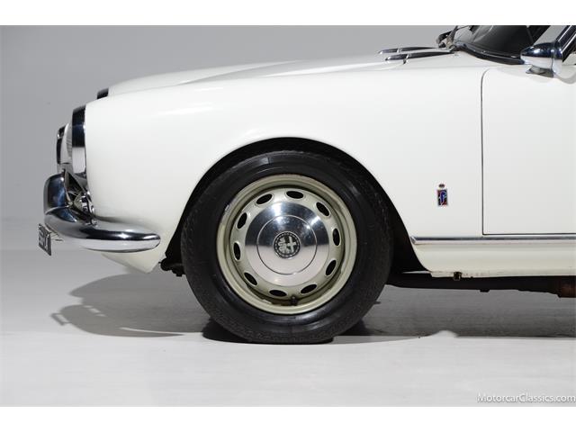 1964 Alfa Romeo Giulia (CC-2081607) for sale in Farmingdale, New York