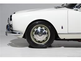 1964 Alfa Romeo Giulia (CC-2081607) for sale in Farmingdale, New York