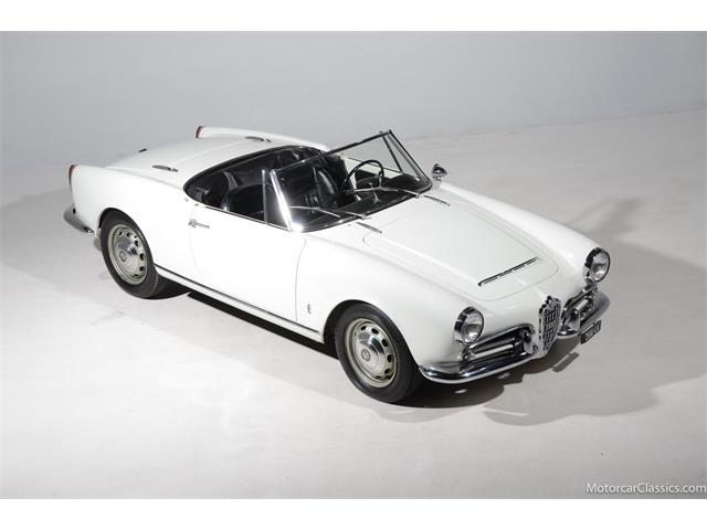 1964 Alfa Romeo Giulia (CC-2081607) for sale in Farmingdale, New York