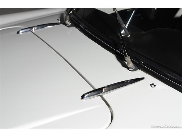 1964 Alfa Romeo Giulia (CC-2081607) for sale in Farmingdale, New York