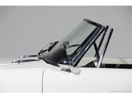 1964 Alfa Romeo Giulia (CC-2081607) for sale in Farmingdale, New York