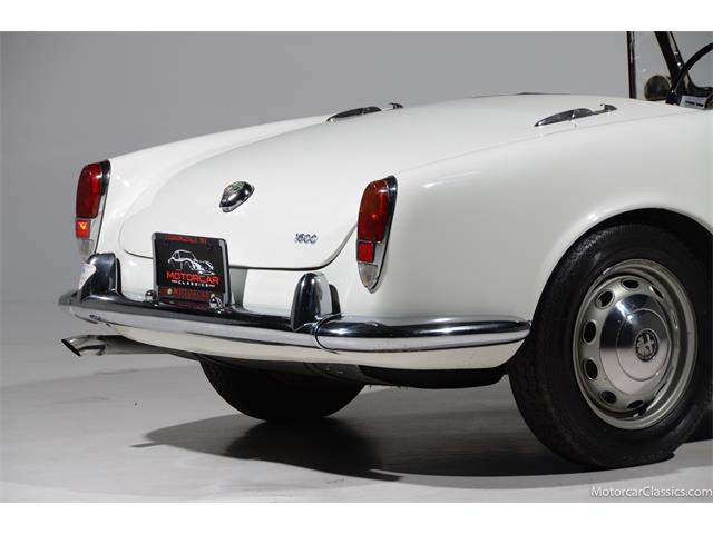 1964 Alfa Romeo Giulia (CC-2081607) for sale in Farmingdale, New York