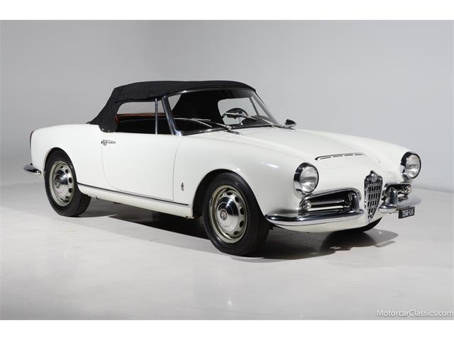 1964 Alfa Romeo Giulia (CC-2081607) for sale in Farmingdale, New York