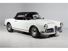 1964 Alfa Romeo Giulia (CC-2081607) for sale in Farmingdale, New York