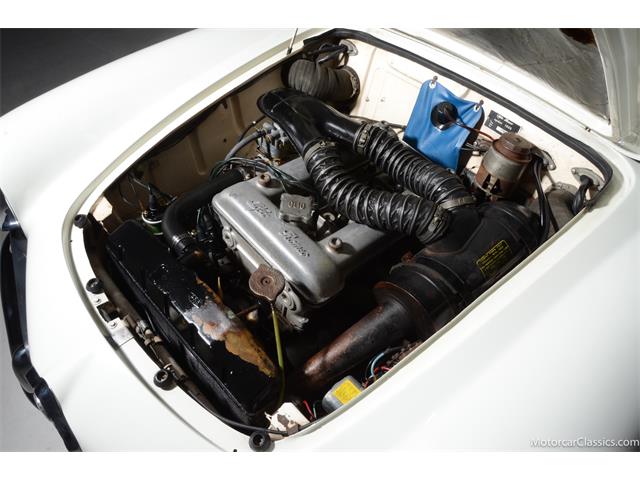 1964 Alfa Romeo Giulia (CC-2081607) for sale in Farmingdale, New York