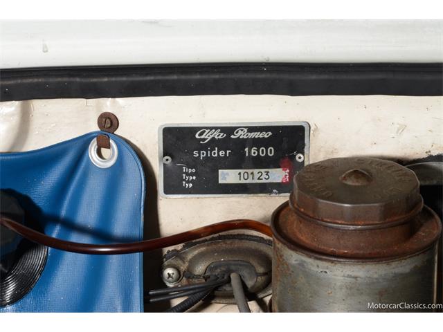 1964 Alfa Romeo Giulia (CC-2081607) for sale in Farmingdale, New York