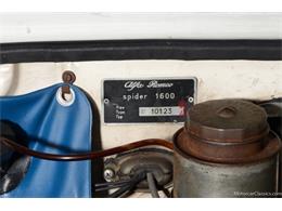 1964 Alfa Romeo Giulia (CC-2081607) for sale in Farmingdale, New York