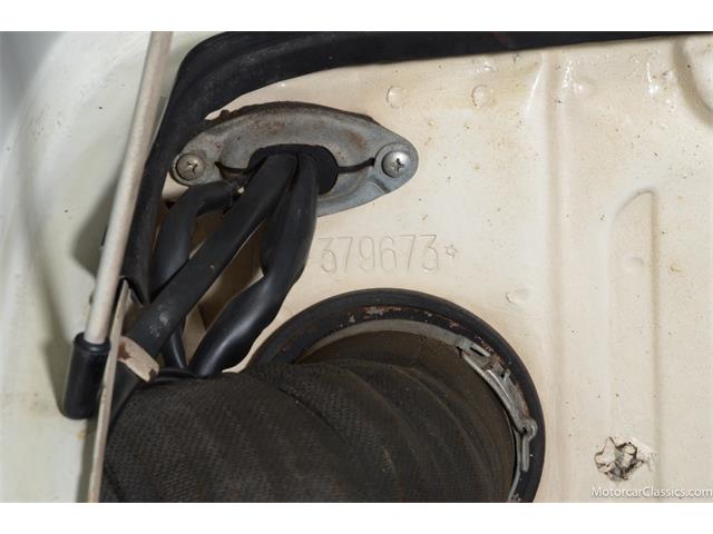 1964 Alfa Romeo Giulia (CC-2081607) for sale in Farmingdale, New York