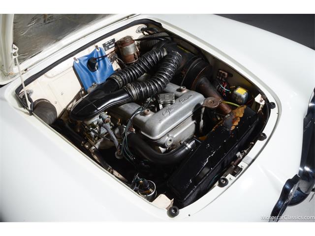 1964 Alfa Romeo Giulia (CC-2081607) for sale in Farmingdale, New York