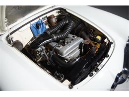 1964 Alfa Romeo Giulia (CC-2081607) for sale in Farmingdale, New York