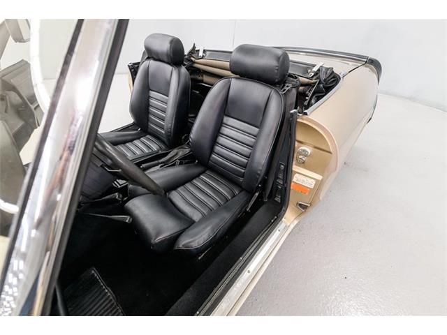 1986 Alfa Romeo Spider Veloce (CC-2081644) for sale in Concord, North Carolina