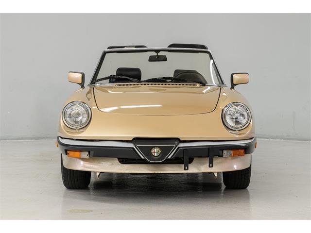 1986 Alfa Romeo Spider Veloce (CC-2081644) for sale in Concord, North Carolina