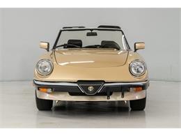 1986 Alfa Romeo Spider Veloce (CC-2081644) for sale in Concord, North Carolina