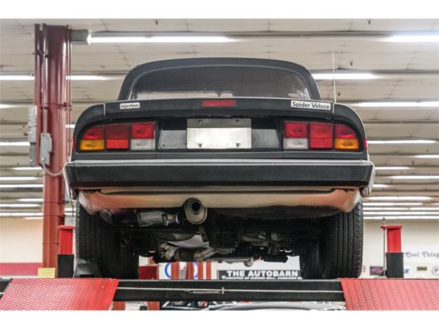 1986 Alfa Romeo Spider Veloce (CC-2081644) for sale in Concord, North Carolina