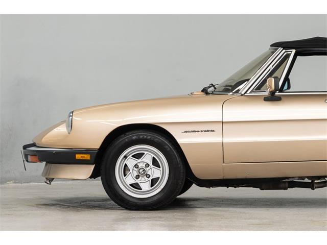 1986 Alfa Romeo Spider Veloce (CC-2081644) for sale in Concord, North Carolina