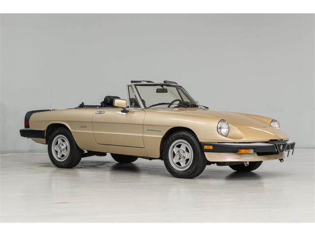 1986 Alfa Romeo Spider Veloce (CC-2081644) for sale in Concord, North Carolina