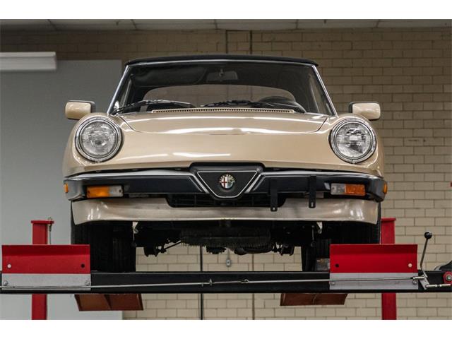1986 Alfa Romeo Spider Veloce (CC-2081644) for sale in Concord, North Carolina