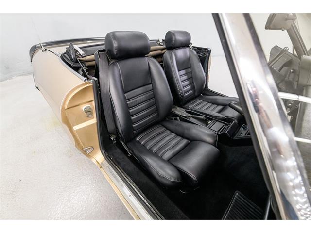 1986 Alfa Romeo Spider Veloce (CC-2081644) for sale in Concord, North Carolina