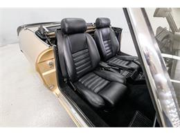 1986 Alfa Romeo Spider Veloce (CC-2081644) for sale in Concord, North Carolina