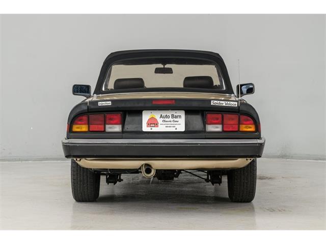 1986 Alfa Romeo Spider Veloce (CC-2081644) for sale in Concord, North Carolina