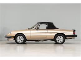 1986 Alfa Romeo Spider Veloce (CC-2081644) for sale in Concord, North Carolina
