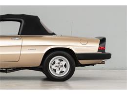 1986 Alfa Romeo Spider Veloce (CC-2081644) for sale in Concord, North Carolina
