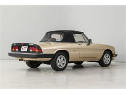 1986 Alfa Romeo Spider Veloce (CC-2081644) for sale in Concord, North Carolina