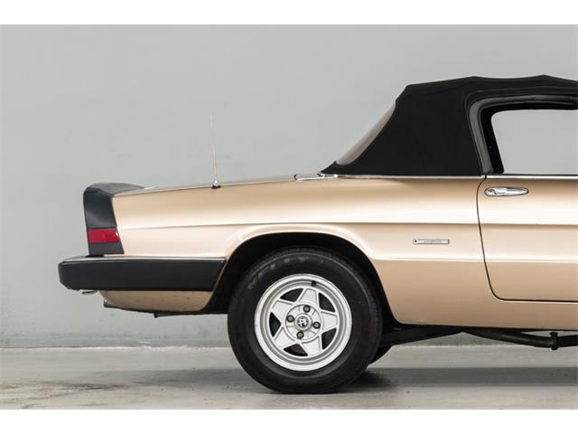 1986 Alfa Romeo Spider Veloce (CC-2081644) for sale in Concord, North Carolina