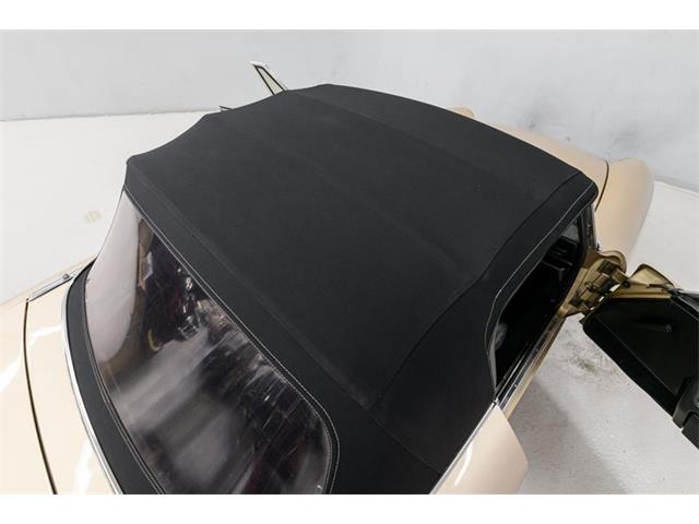 1986 Alfa Romeo Spider Veloce (CC-2081644) for sale in Concord, North Carolina