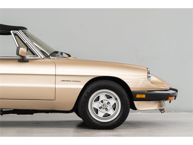 1986 Alfa Romeo Spider Veloce (CC-2081644) for sale in Concord, North Carolina