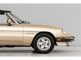 1986 Alfa Romeo Spider Veloce (CC-2081644) for sale in Concord, North Carolina