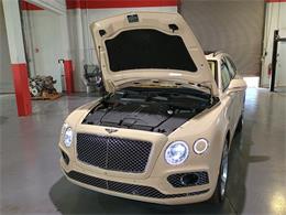 2019 Bentley Bentayga (CC-2081664) for sale in Boca Raton, Florida