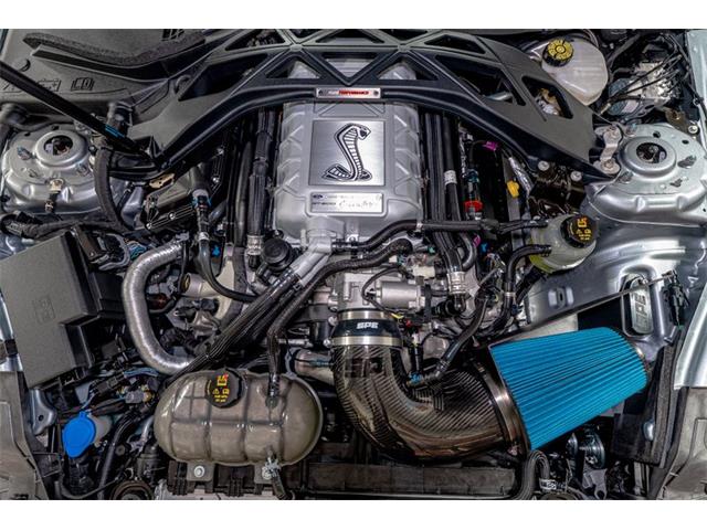 2022 Ford Shelby GT500  (CC-2081707) for sale in Bristol, Pennsylvania
