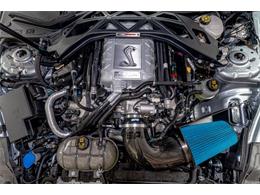2022 Ford Shelby GT500  (CC-2081707) for sale in Bristol, Pennsylvania
