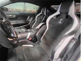 2022 Ford Shelby GT500  (CC-2081709) for sale in Bristol, Pennsylvania