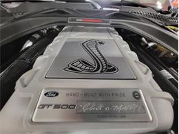 2022 Ford Shelby GT500  (CC-2081709) for sale in Bristol, Pennsylvania