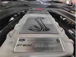 2022 Ford Shelby GT500  (CC-2081709) for sale in Bristol, Pennsylvania